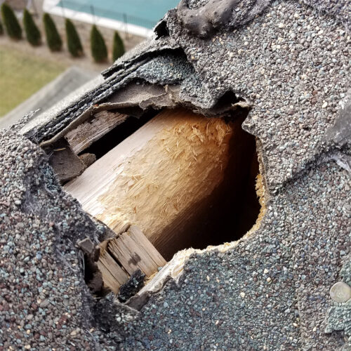 Wildlife Proofing and Exclusion